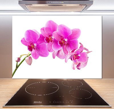 Panneau crédence cuisine Orchidée rose