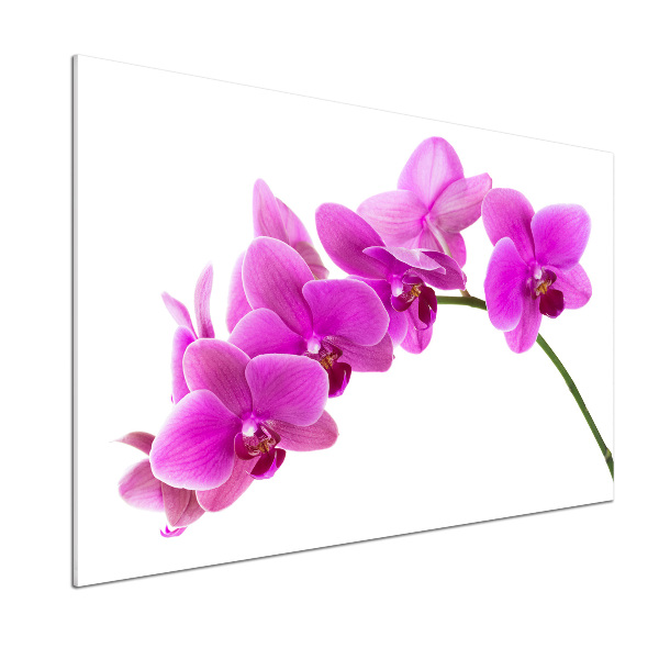 Crédence de cuisine Orchidée rose
