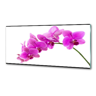 Crédence de cuisine Orchidée rose