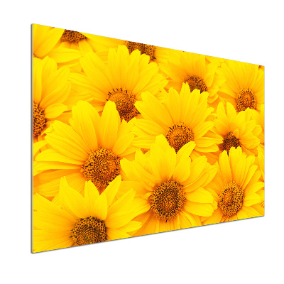 Crédence cuisine en verre Tournesol