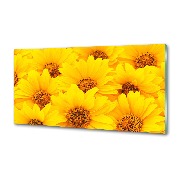 Crédence cuisine en verre Tournesol