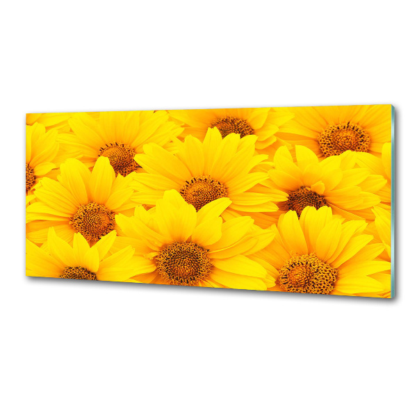 Crédence cuisine en verre Tournesol