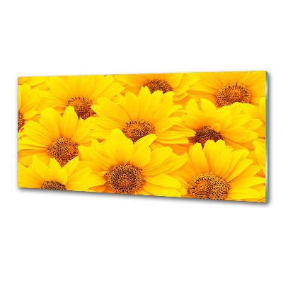 Crédence cuisine en verre Tournesol