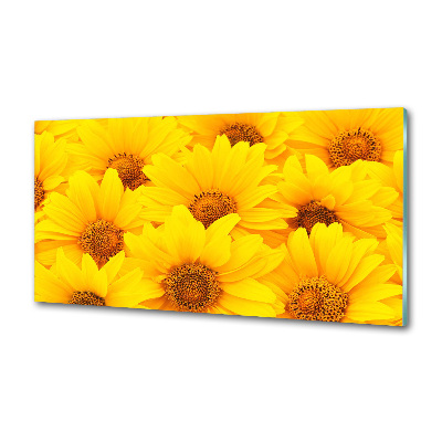 Crédence cuisine en verre Tournesol