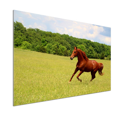 Crédence en verre avec motif Cheval dans un pré