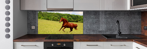 Crédence en verre avec motif Cheval dans un pré