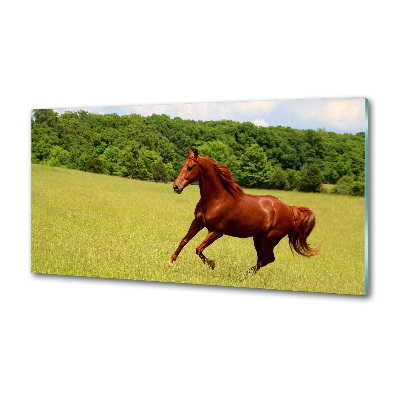 Crédence en verre avec motif Cheval dans un pré