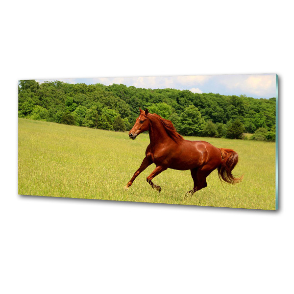 Crédence en verre avec motif Cheval dans un pré