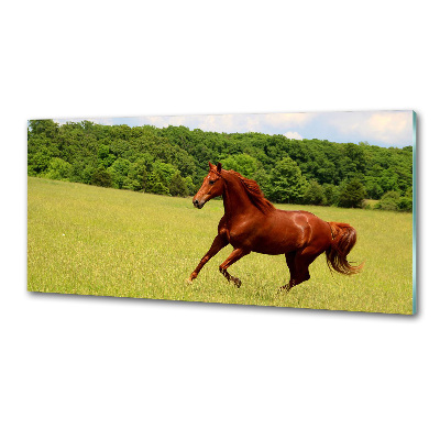 Crédence en verre avec motif Cheval dans un pré