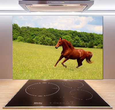 Crédence en verre avec motif Cheval dans un pré
