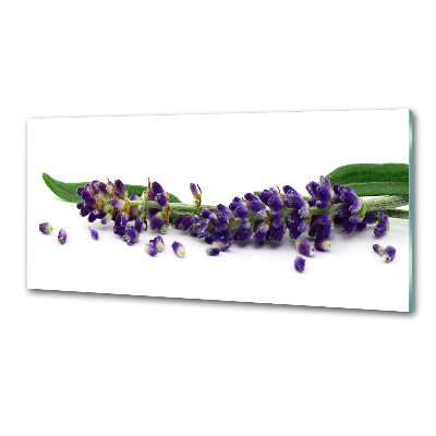 Panneau crédence cuisine Lavande