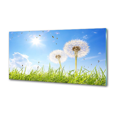 Crédence en verre avec motif Les gonflables