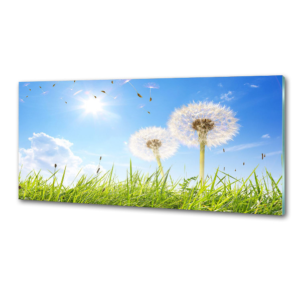 Crédence en verre avec motif Les gonflables