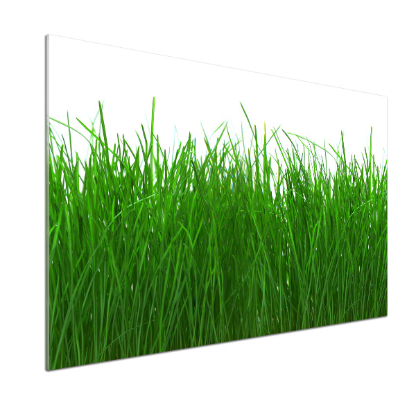 Verre pour crédence Herbe