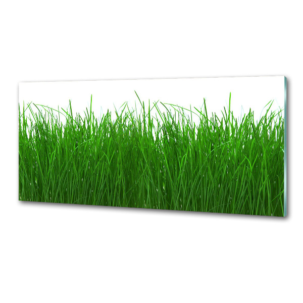 Verre pour crédence Herbe