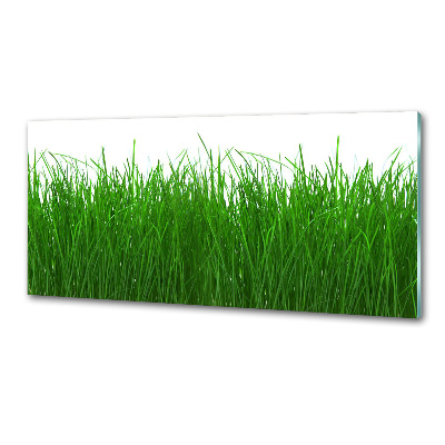 Verre pour crédence Herbe