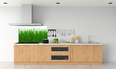 Verre pour crédence Herbe