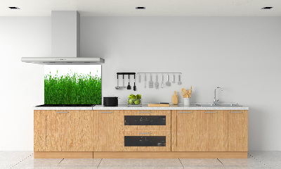 Verre pour crédence Herbe