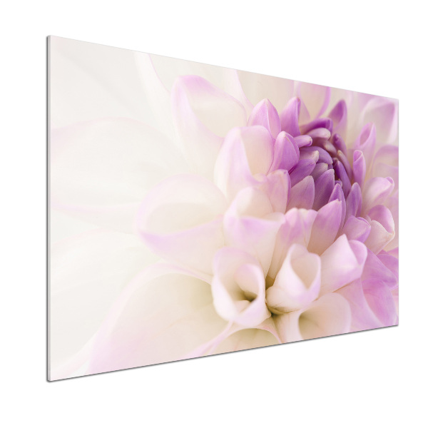 Panneau pour cuisine Dahlia blanc