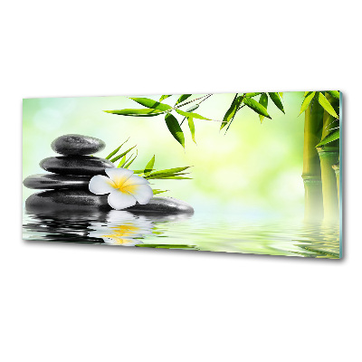 Crédence en verre avec motif Plumeria et bambou