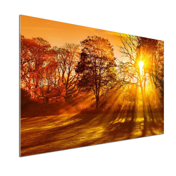 Panneau crédence cuisine Coucher de soleil