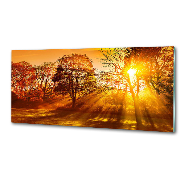 Panneau crédence cuisine Coucher de soleil