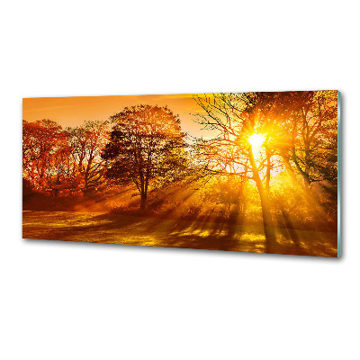 Panneau crédence cuisine Coucher de soleil