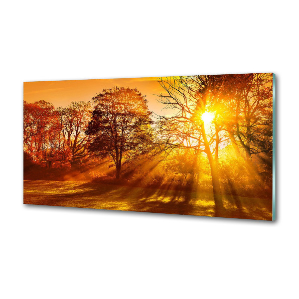 Panneau crédence cuisine Coucher de soleil