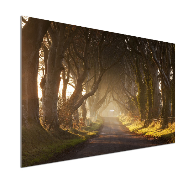 Crédence en verre avec motif Brume dans la forêt