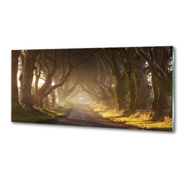 Crédence en verre avec motif Brume dans la forêt