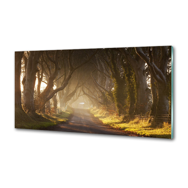 Crédence en verre avec motif Brume dans la forêt