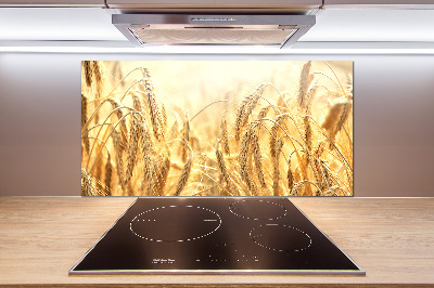 Panneau pour cuisine Céréales
