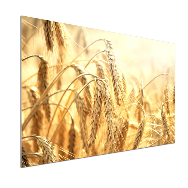 Panneau pour cuisine Céréales