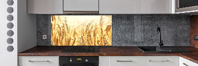 Panneau pour cuisine Céréales