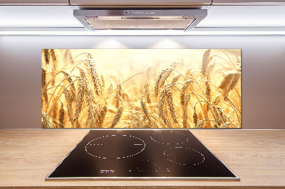 Panneau pour cuisine Céréales