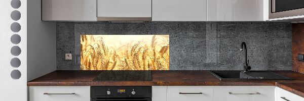 Panneau pour cuisine Céréales