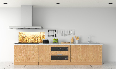 Panneau pour cuisine Céréales