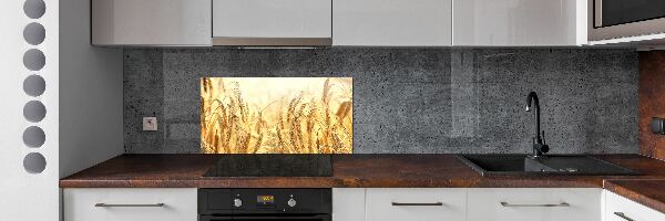 Panneau pour cuisine Céréales