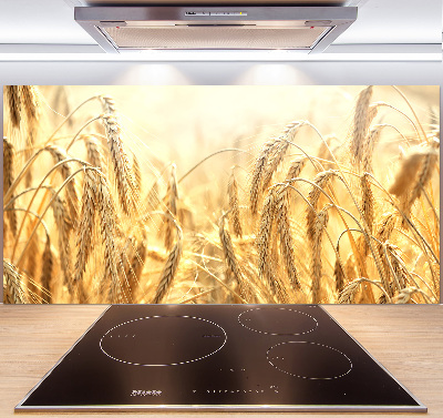 Panneau pour cuisine Céréales