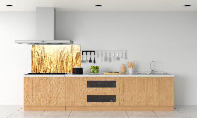 Panneau pour cuisine Céréales