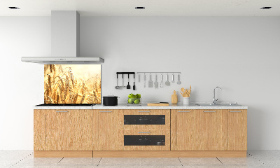 Panneau pour cuisine Céréales