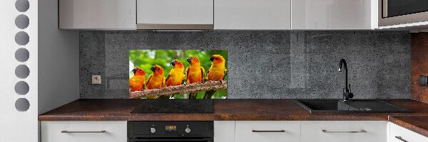 Crédence en verre Perroquets sur une branche