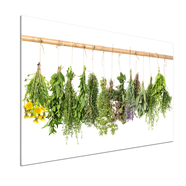 Crédence en verre trempé Herbes sur une ficelle