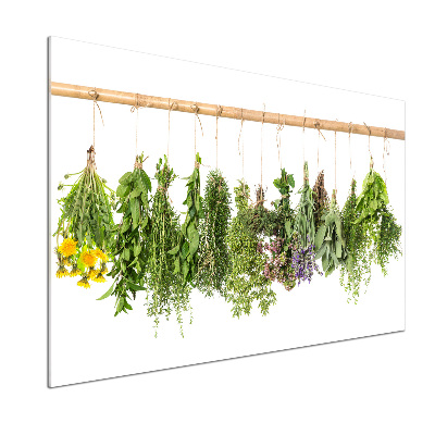 Crédence en verre trempé Herbes sur une ficelle