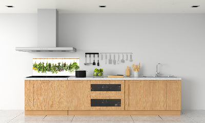 Crédence en verre trempé Herbes sur une ficelle