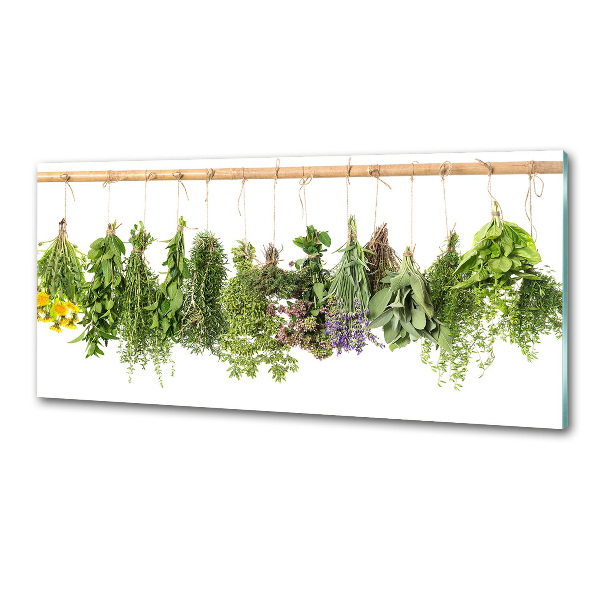 Crédence en verre trempé Herbes sur une ficelle