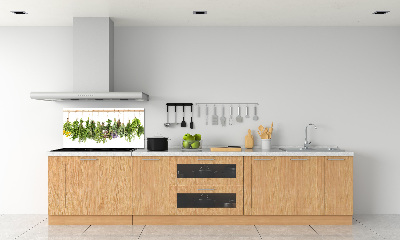 Crédence en verre trempé Herbes sur une ficelle