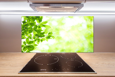 Panneau pour cuisine Feuilles