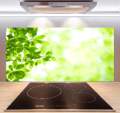 Panneau pour cuisine Feuilles