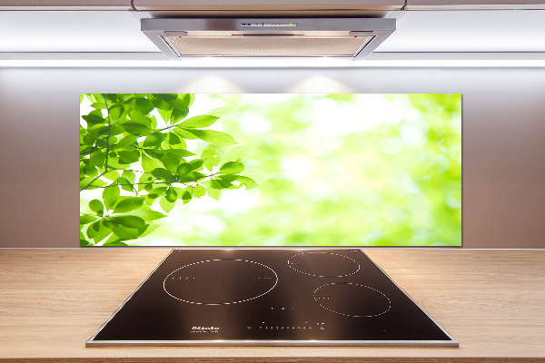 Panneau pour cuisine Feuilles